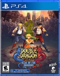 Double Dragon Gaiden: Rise of the Dragons