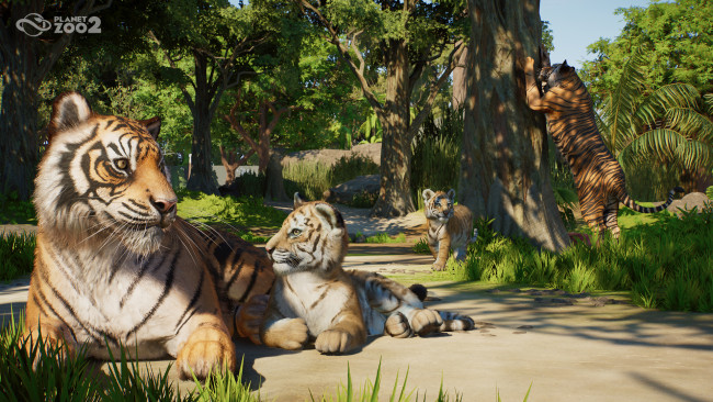 Planet Zoo 2 Preview: An ambitious sequel that elevates the Planet formula