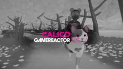 media/47/wereplayingcalico_3354773t.jpg