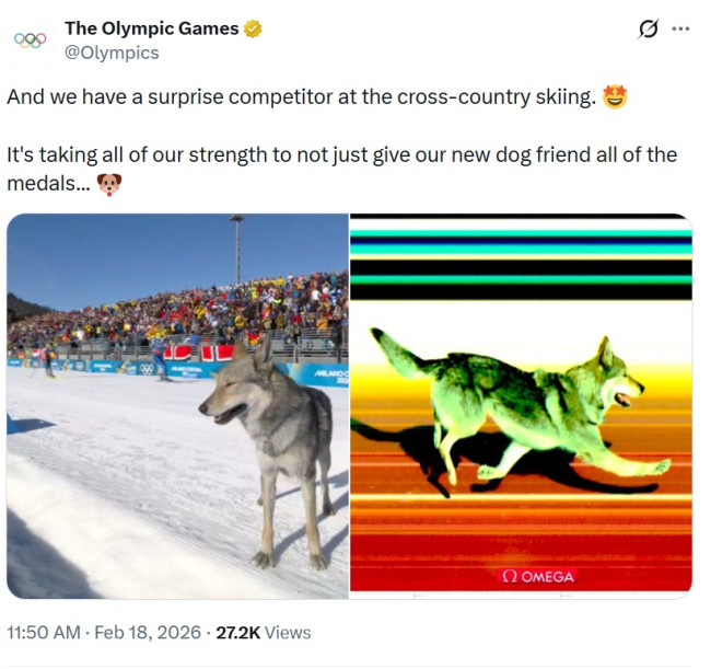 Local good boy Nazgul crashes into ski race at the Olympics: He is "stubborn but very sweet"