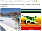 Official Olympics X account quietly deletes funny post of the viral but fairly dangerous dog incident