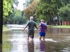Climate crises posing an increasing threat to democracy, according to new report
