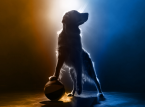 Air Bud is back - new film premieres next year