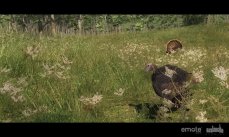 media/51/hunterphasesregistered_175153t.jpg