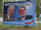 Germany classifies AfD as extremist, Kremlin reacts cautiously