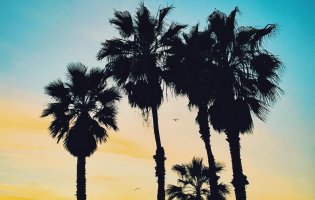 LA 2024 are considering Olympic esports