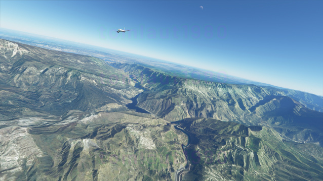 Microsoft Flight Simulator