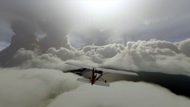Microsoft Flight Simulator