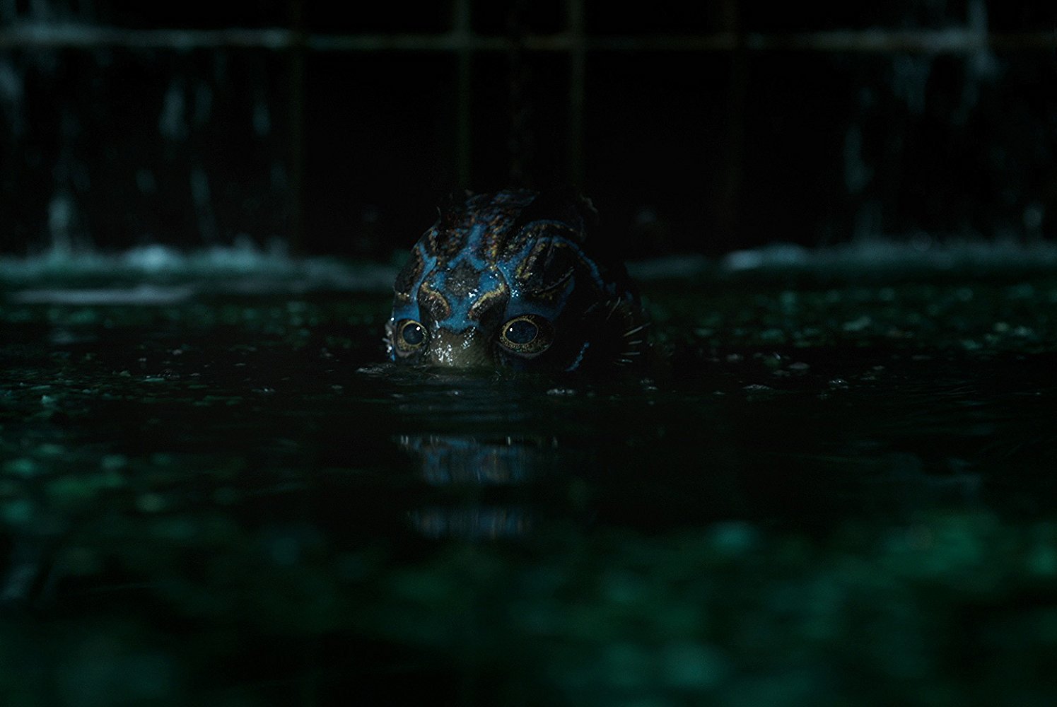 The Shape of Water