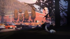 media/56/livetarbra_1375664t.jpg