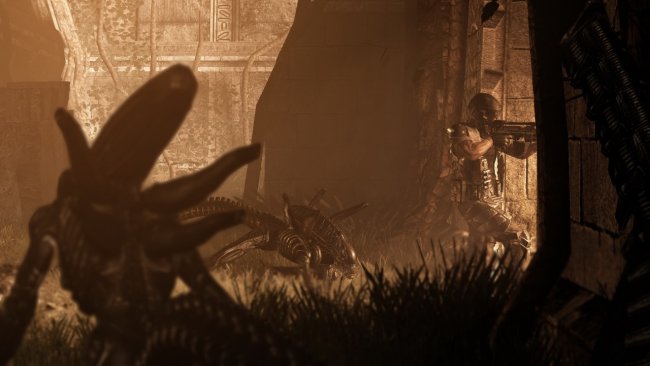 Aliens vs. Predator