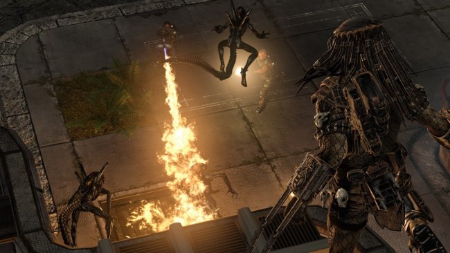 Aliens vs. Predator