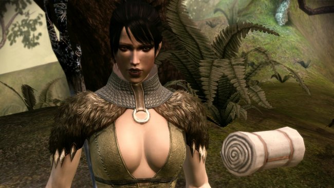 Dragon Age: Origins