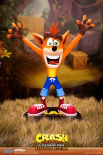 media/58/crashbandicoot_2135873t.jpg