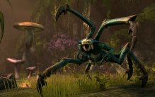 media/58/elderscrollsonline_595841t.jpg
