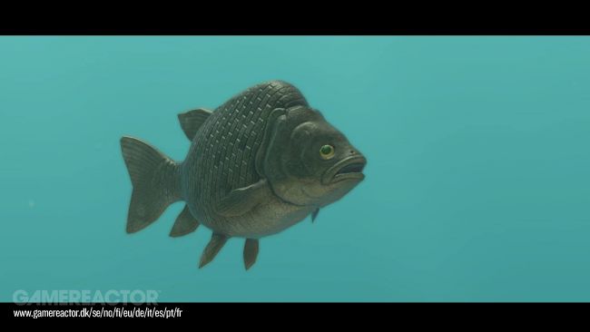 Endless Ocean Luminous