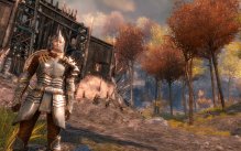 media/58/guildwars2_335861t.jpg