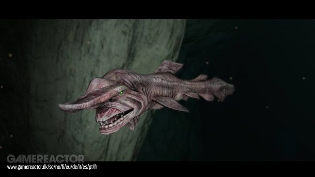 Endless Ocean Luminous