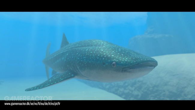 Endless Ocean Luminous