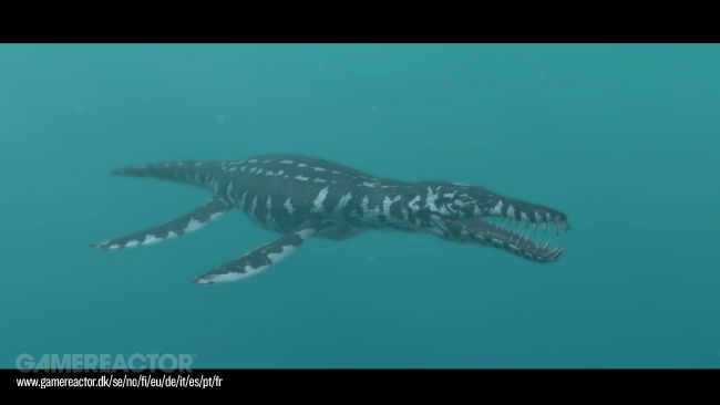 Endless Ocean Luminous