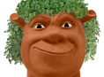 A Chia Pet movie or series is in the works