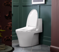 media/60/kohleru2019slatesttoilet_4176073t.png