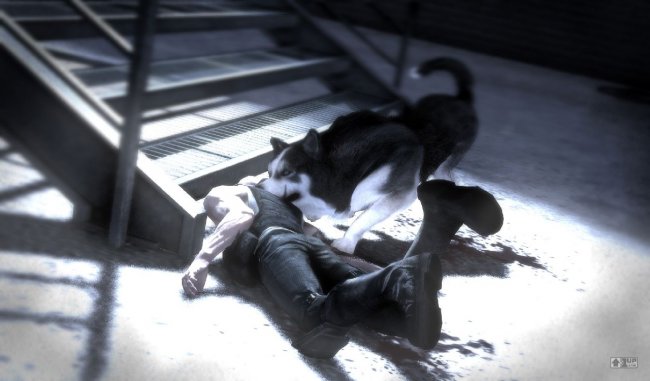 Dead to Rights: Retribution