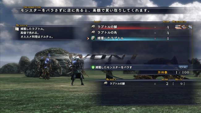 The Last Remnant