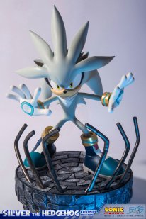 media/62/silverhedgehoggets_2016253t.jpg