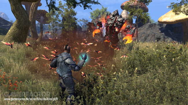 The Elder Scrolls Online: Tamriel Unlimited