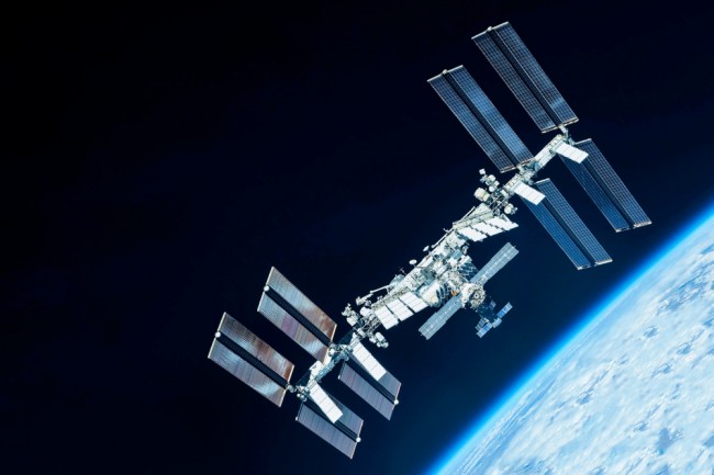 Scientists sent moss into the vacuum of space... Today, they reveal it survived 283 days