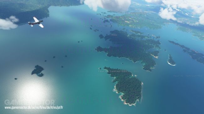 Microsoft Flight Simulator