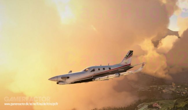 Microsoft Flight Simulator