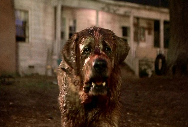 Netflix plans a remake of Stephen King's Cujo