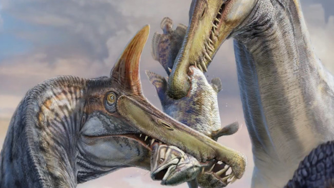 First new Spinosaurus species since 1915 named in new report, had a scimitar-shaped crest