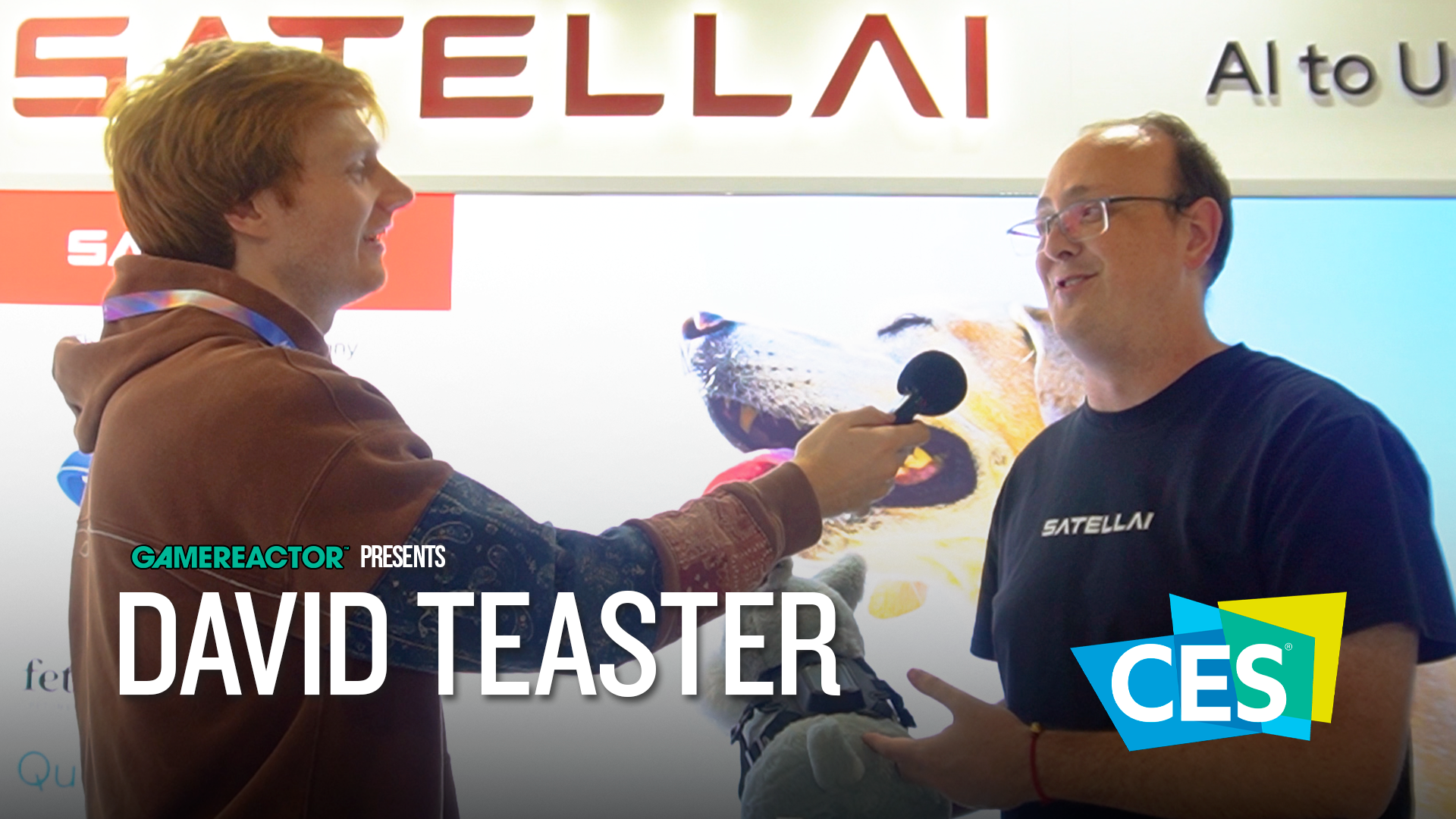 Satellai Deploys AI Collars For Dog Health