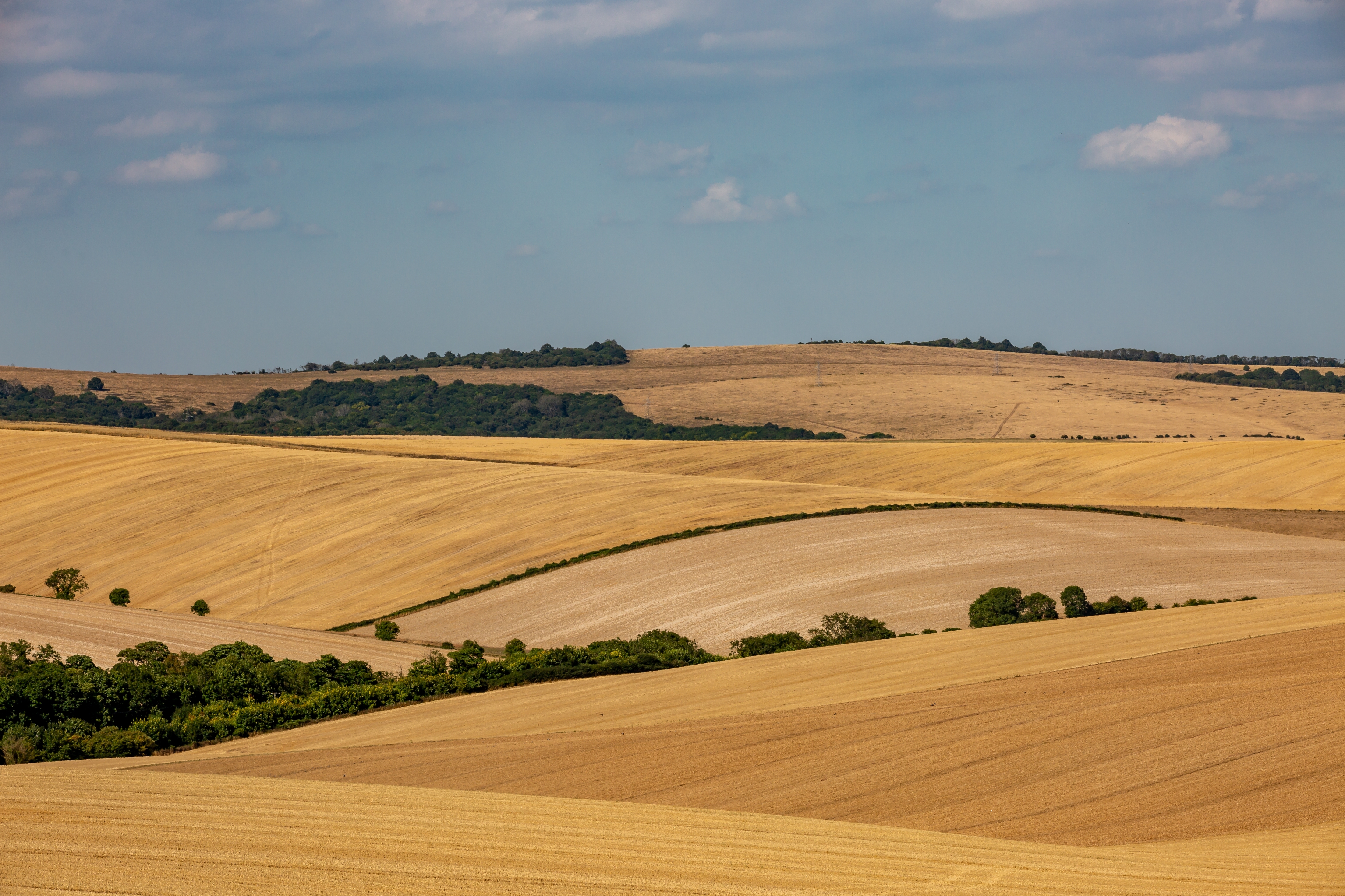 More parts of England are expected to be declared in drought