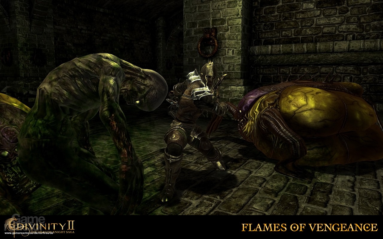 New screens from Divinity II Divinity II Flames of Vengeance