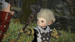 media/71/finalfantasy14_917174t.png