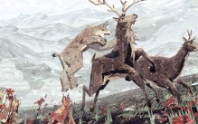 media/71/mightdelightutannonserar_1107104t.jpg