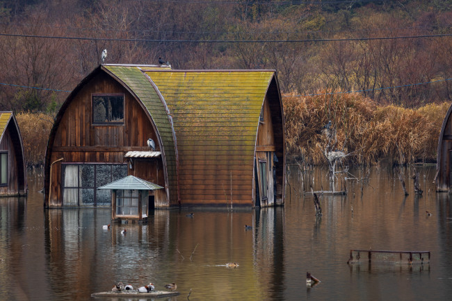 Japan evacuates 1 million as two major tropical storms approach