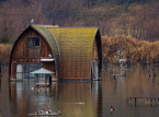 Japan evacuates 1 million as two major tropical storms approach