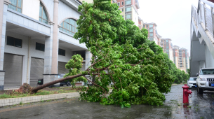 Millions evacuated in China as Typhoon Bavi makes landfall