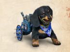 You can have a wiener dog as a companion in Far Cry 6