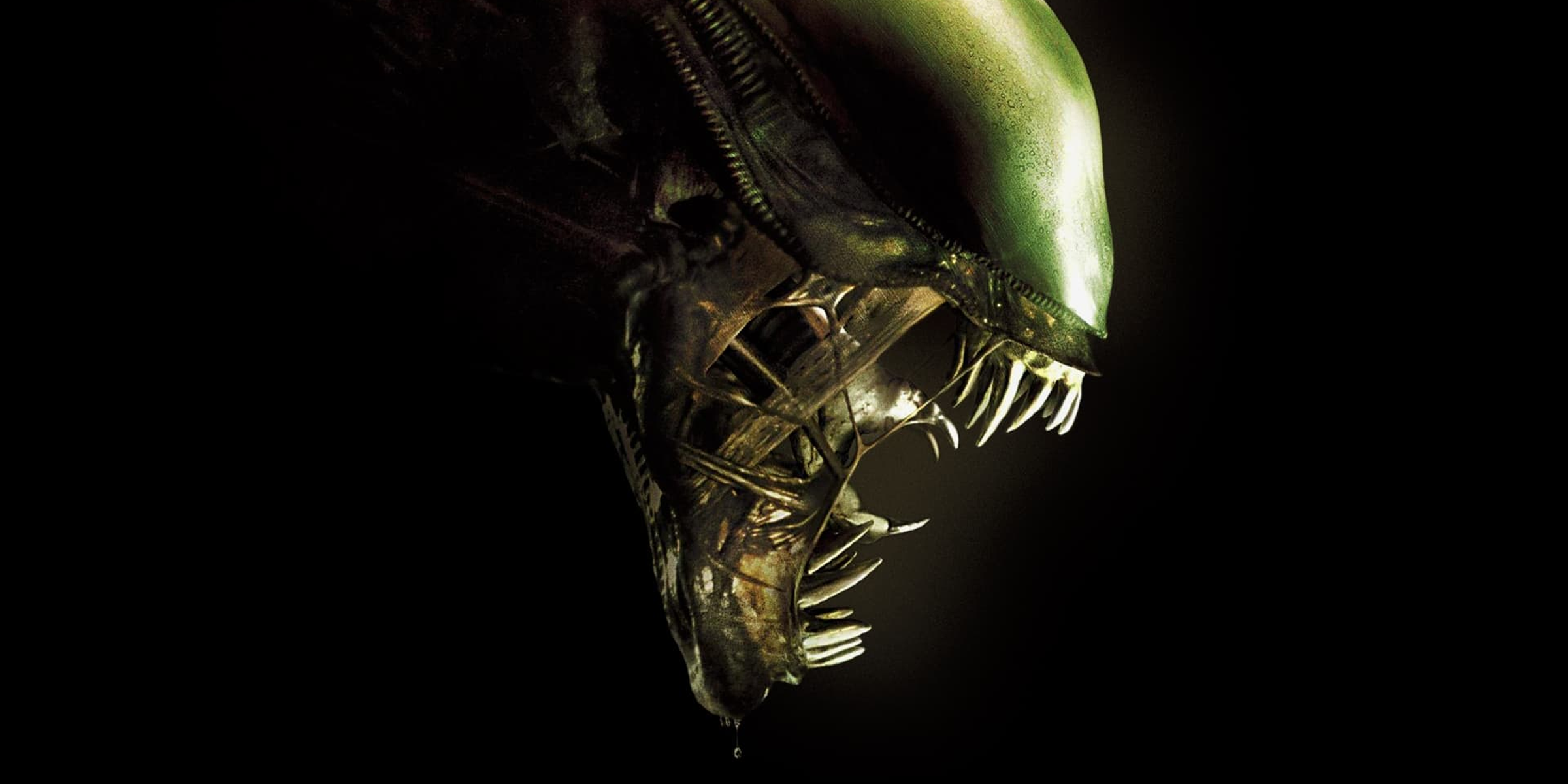 A new Alien game is in development - - Gamereactor