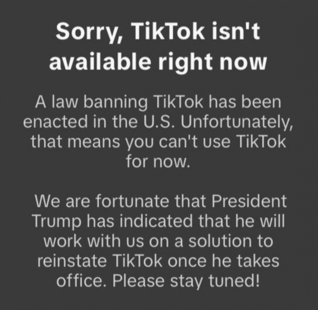 TikTok banned in the US