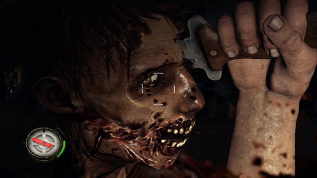 The Walking Dead: Survival Instinct