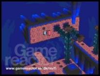 Related Image
