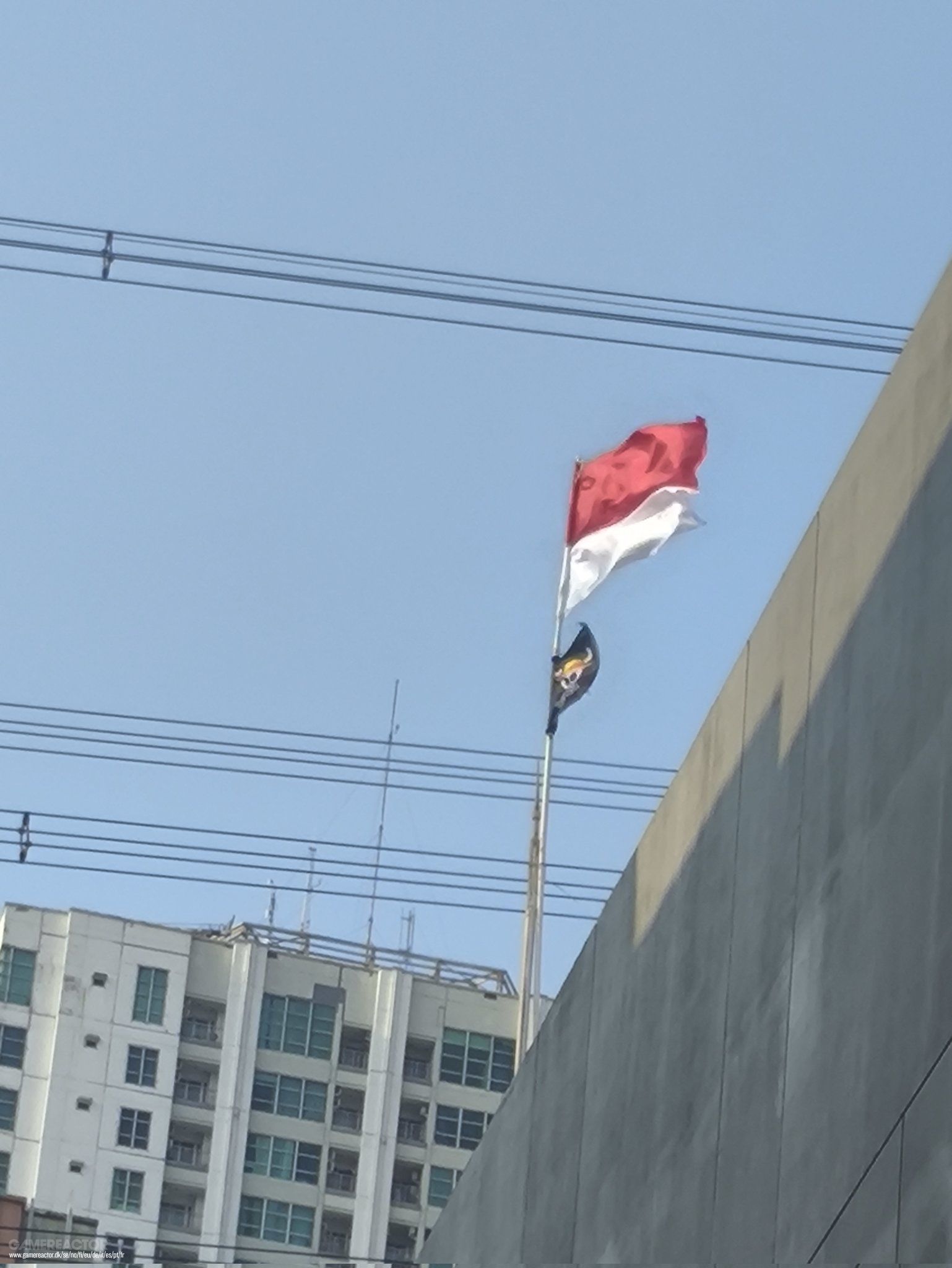 Opponents of Indonesia's centralised regime use the pirate flag from One Piece as a symbol