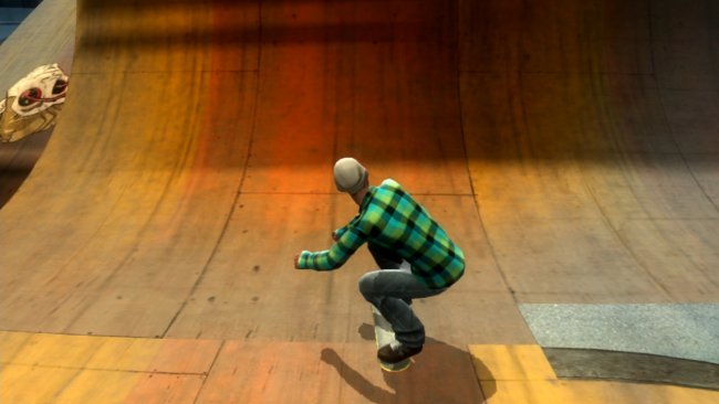 Shaun White Skateboarding